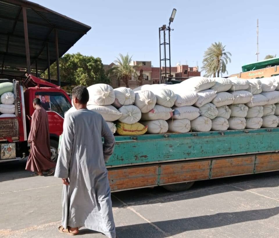 استقبال أطنان من القمح بالشون الصوامع من المزارعين بالأقصر استقبال أطنان من القمح بالشون الصوامع من المزارعين بالأقصر