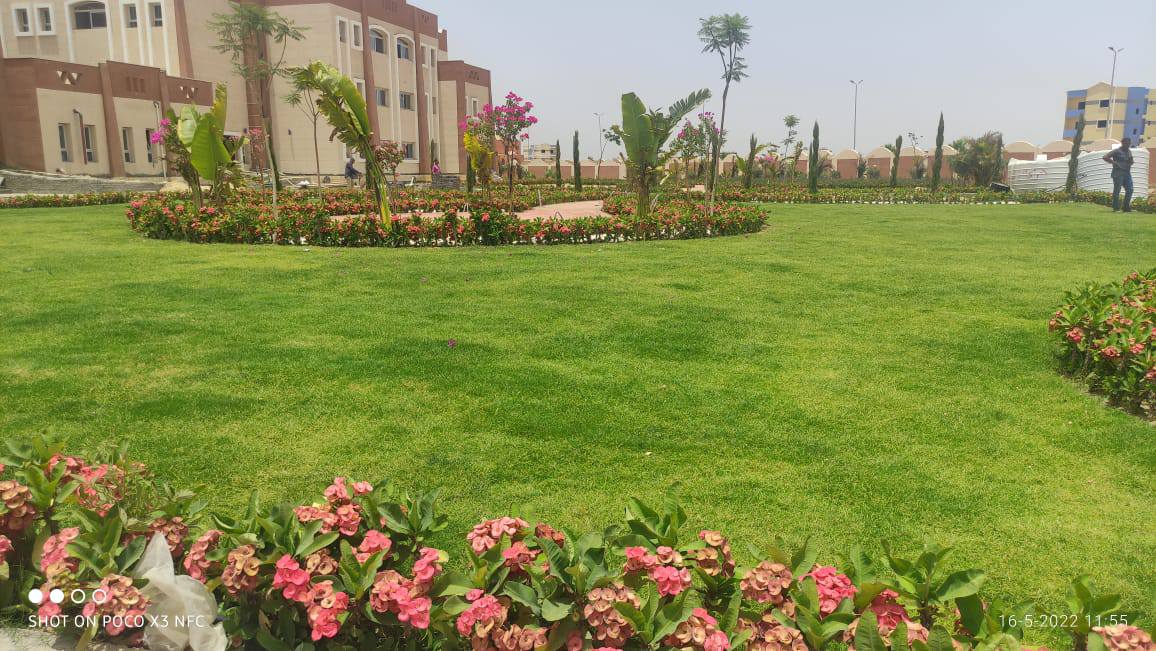 سحر المساحات الخضراء والزراعات فى مدينة طيبة