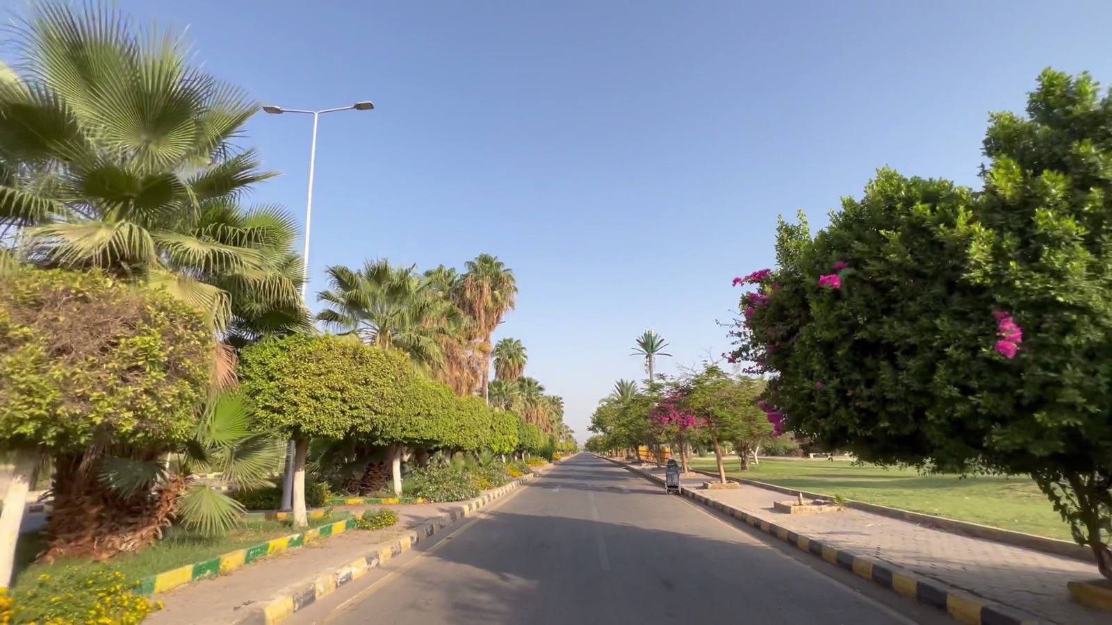 المساحات الخضراء المميزة فى قلب مدينة طيبة