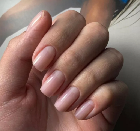 لون بودريه باهت