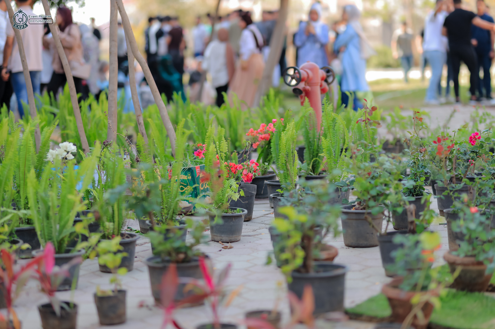 معرض زهور جامعة بنها