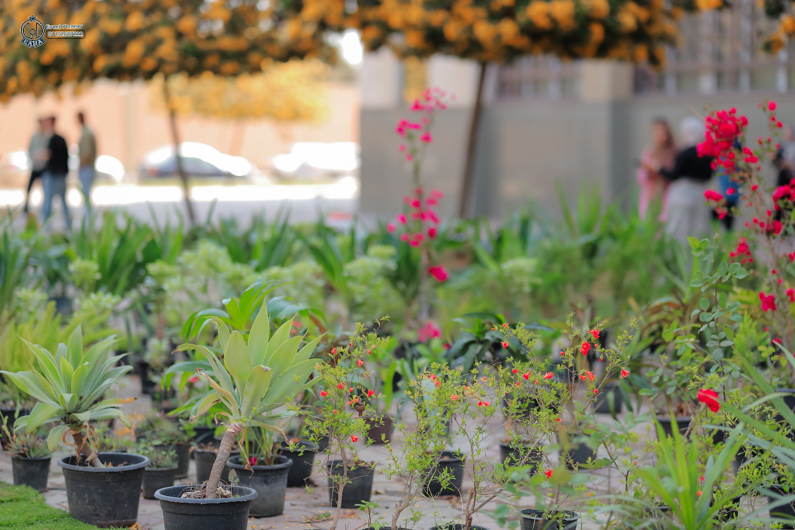 مشتملات المعرض