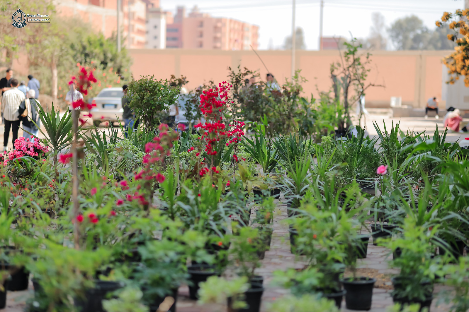 معرض الزهور