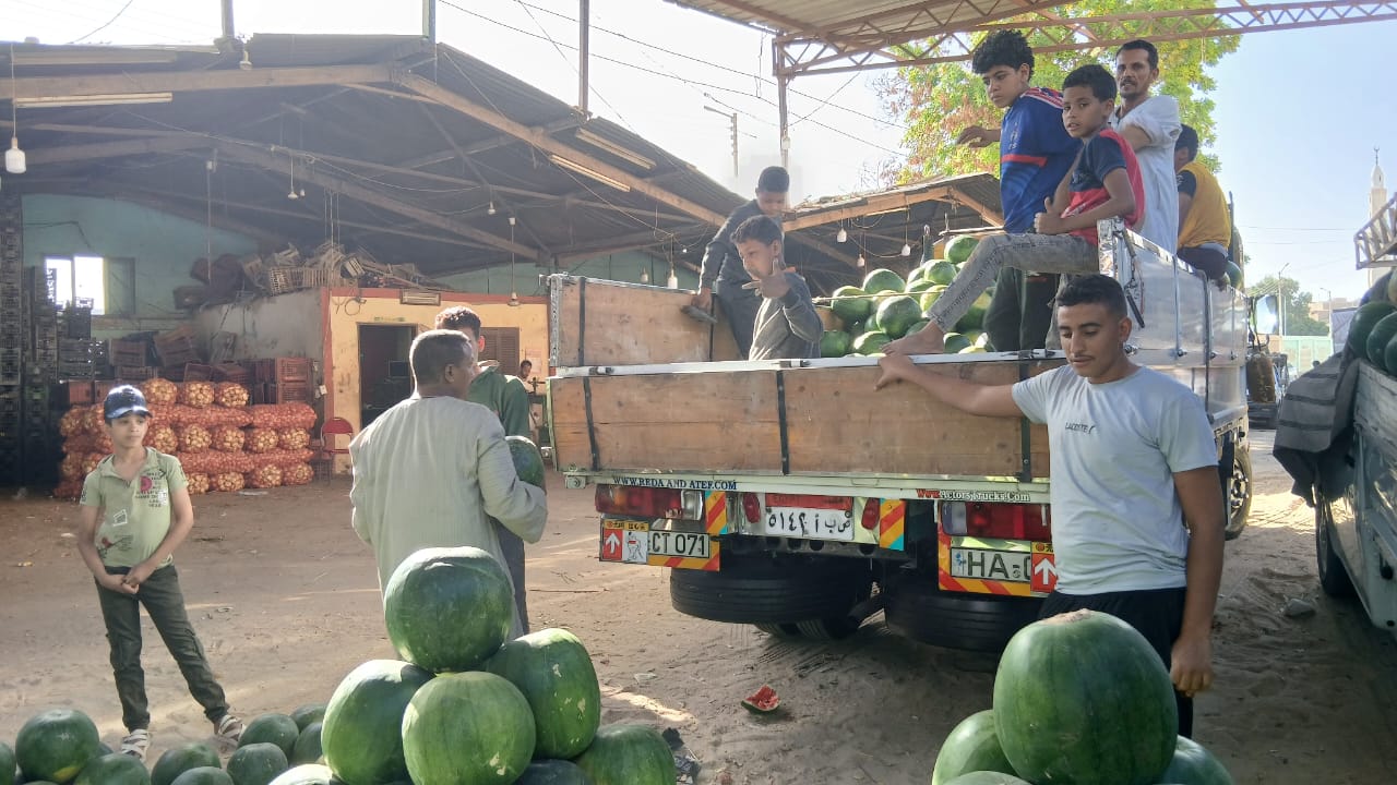 بطيخ بشادر مدينة قنا