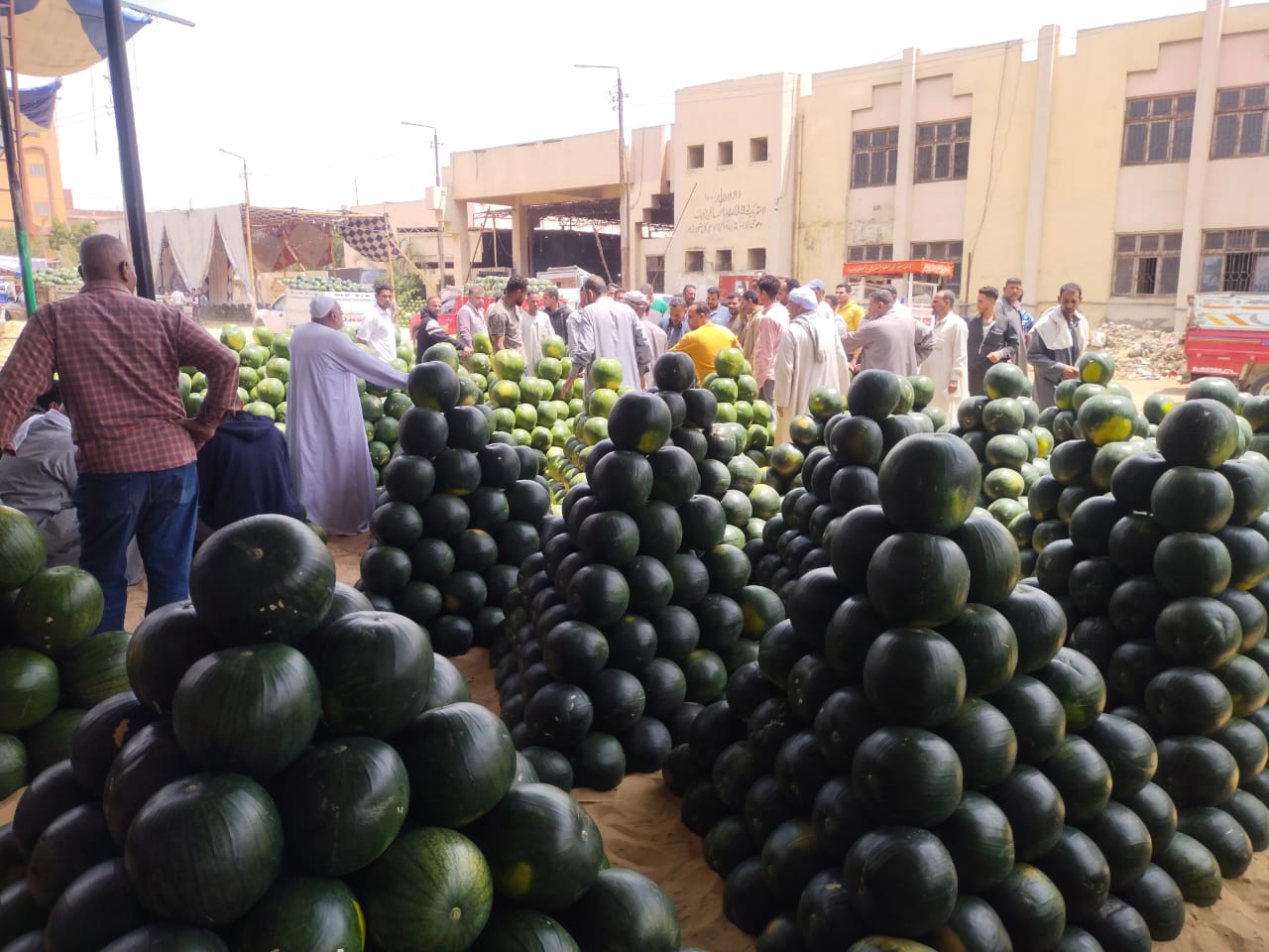 مزاد البطيخ_2 مزاد البطيخ_2