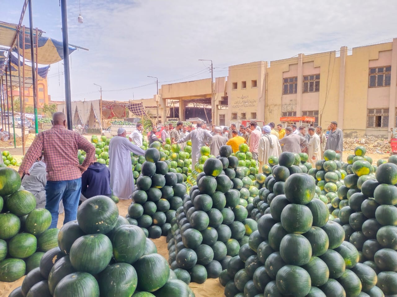 أهرامات البطيخ أهرامات البطيخ