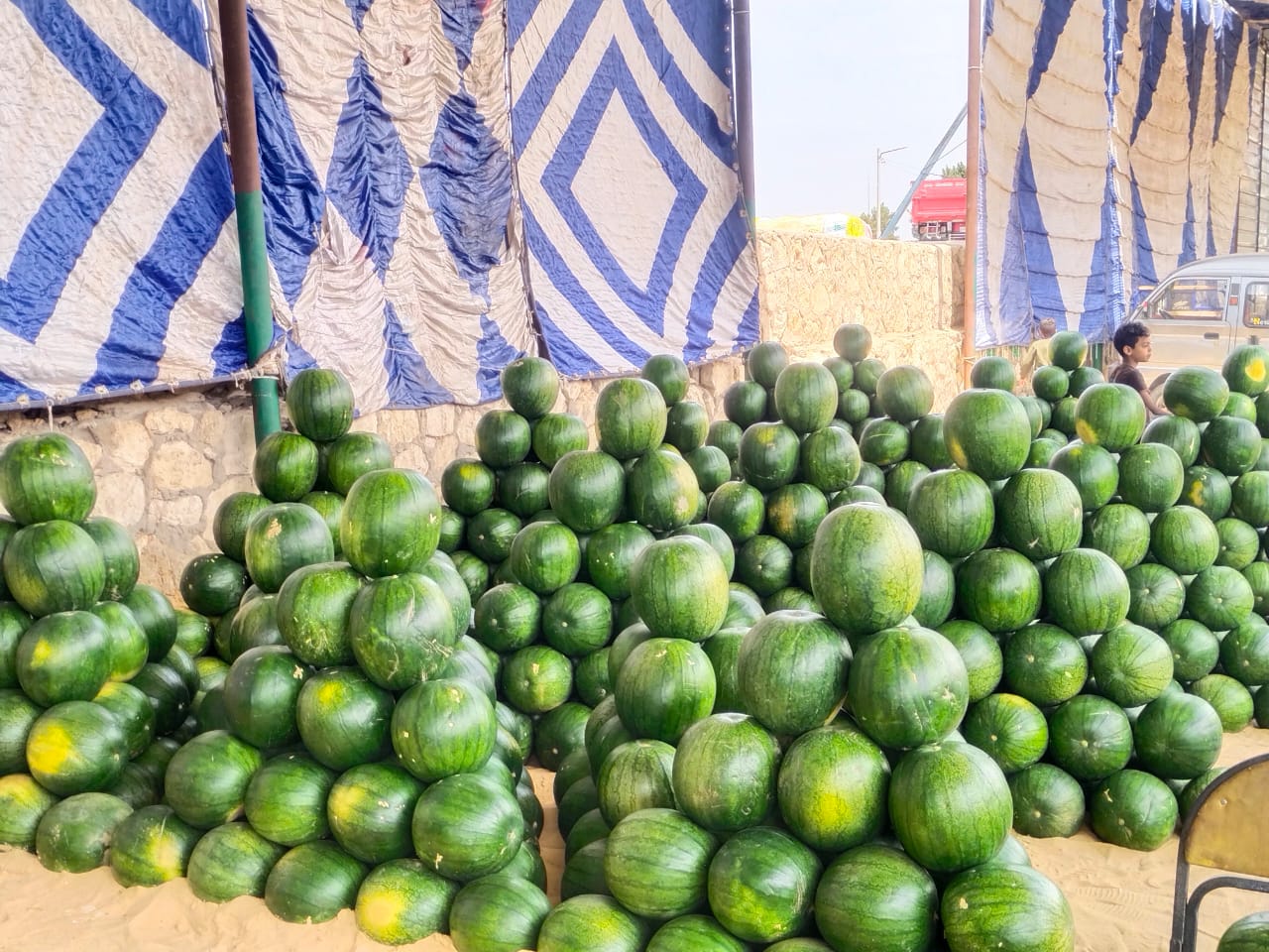 البطيخ بالسوق البطيخ بالسوق
