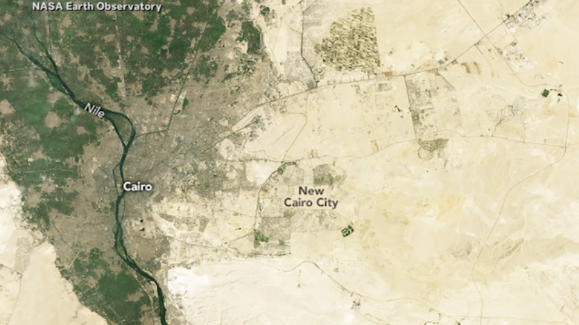 الأوكتاجون