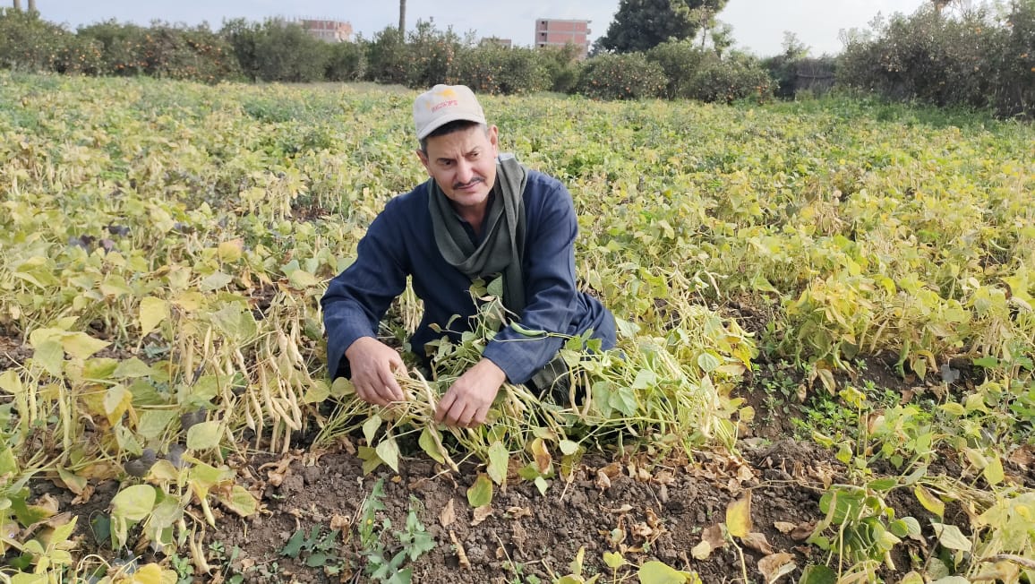 أحد المزارعين أحد المزارعين