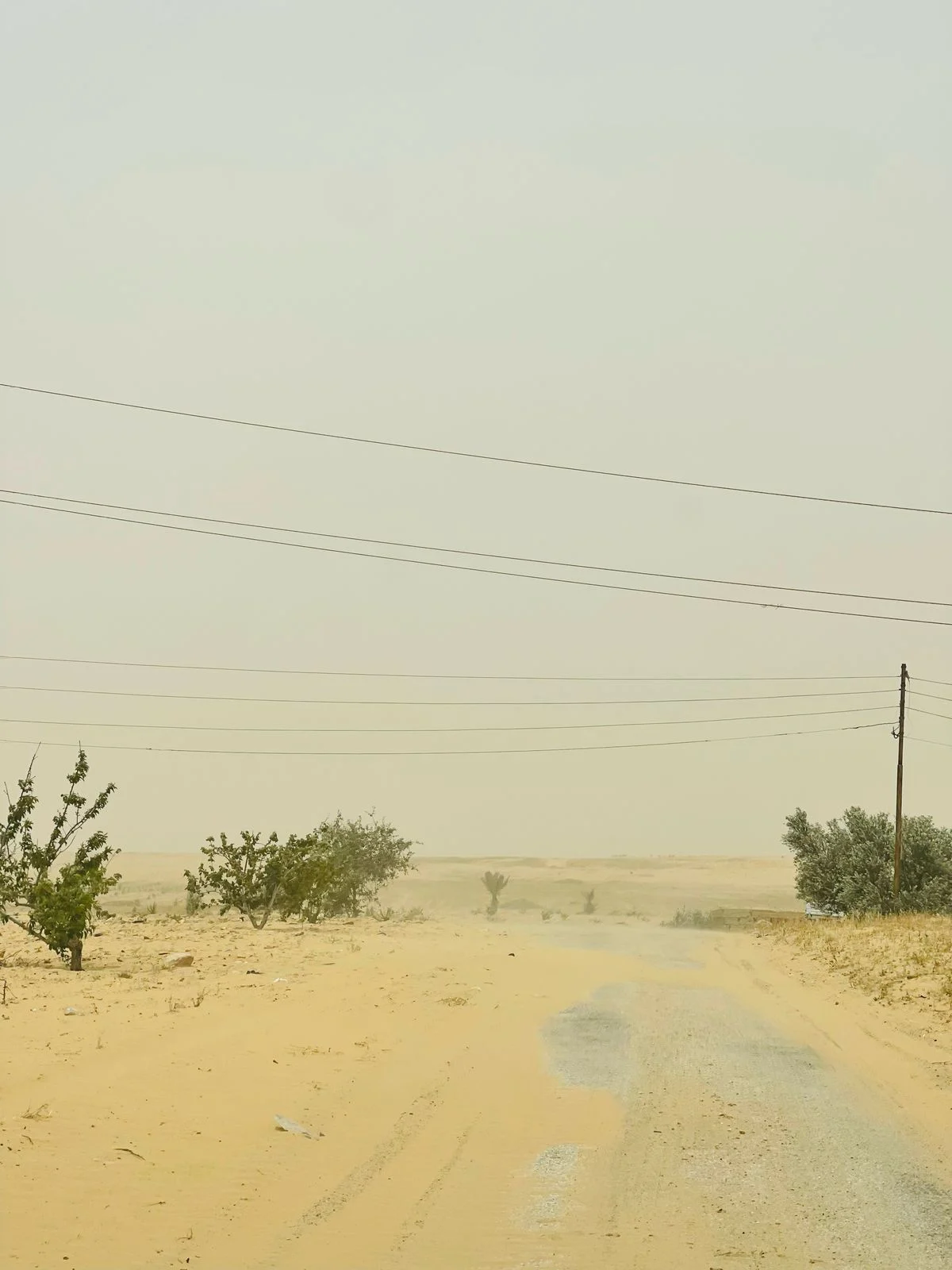 وصول العاصفة الترابية لشمال سيناء_1 وصول العاصفة الترابية لشمال سيناء_1