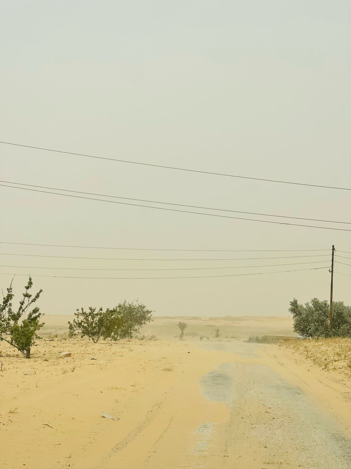 وصول العاصفة الترابية لشمال  سيناء