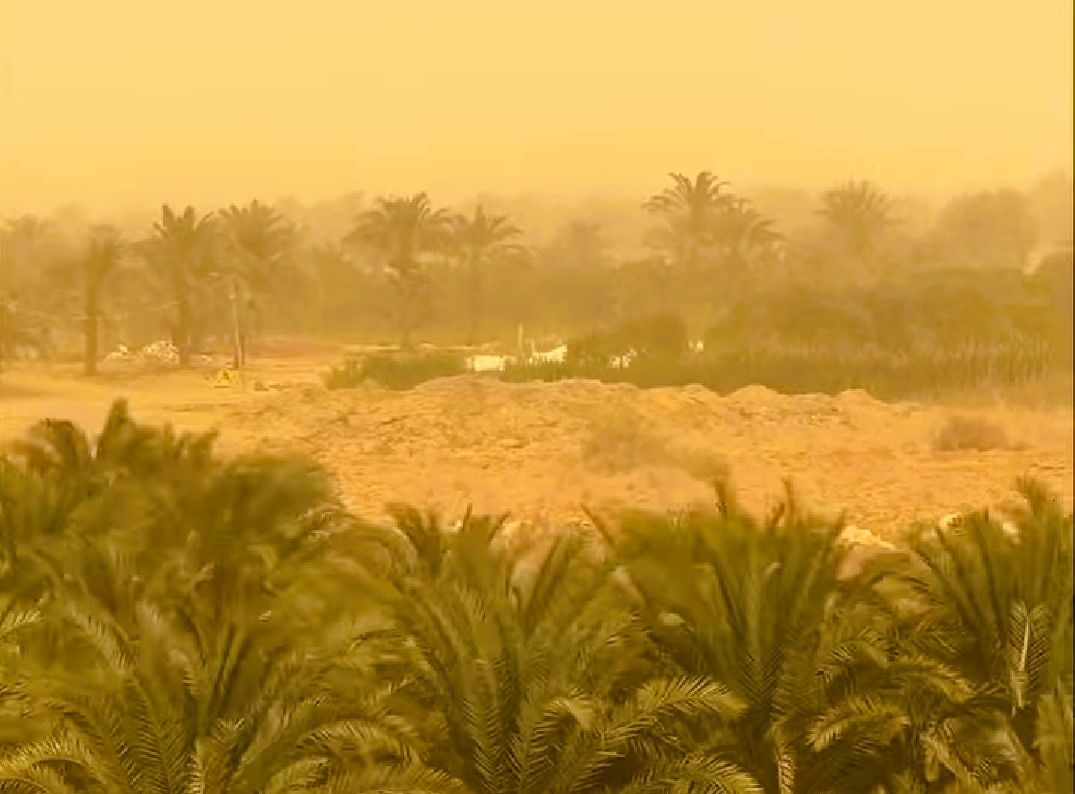 سيوة تتعرض لرياح وعواصف ترابية سيوة تتعرض لرياح وعواصف ترابية