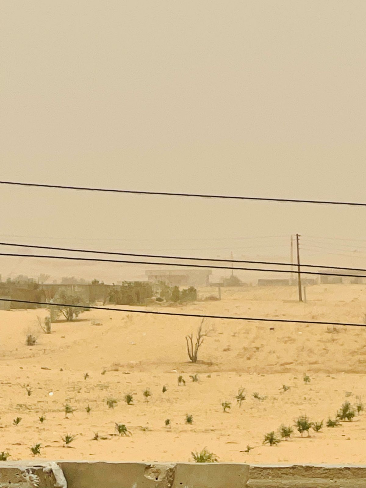 من شمال سيناء