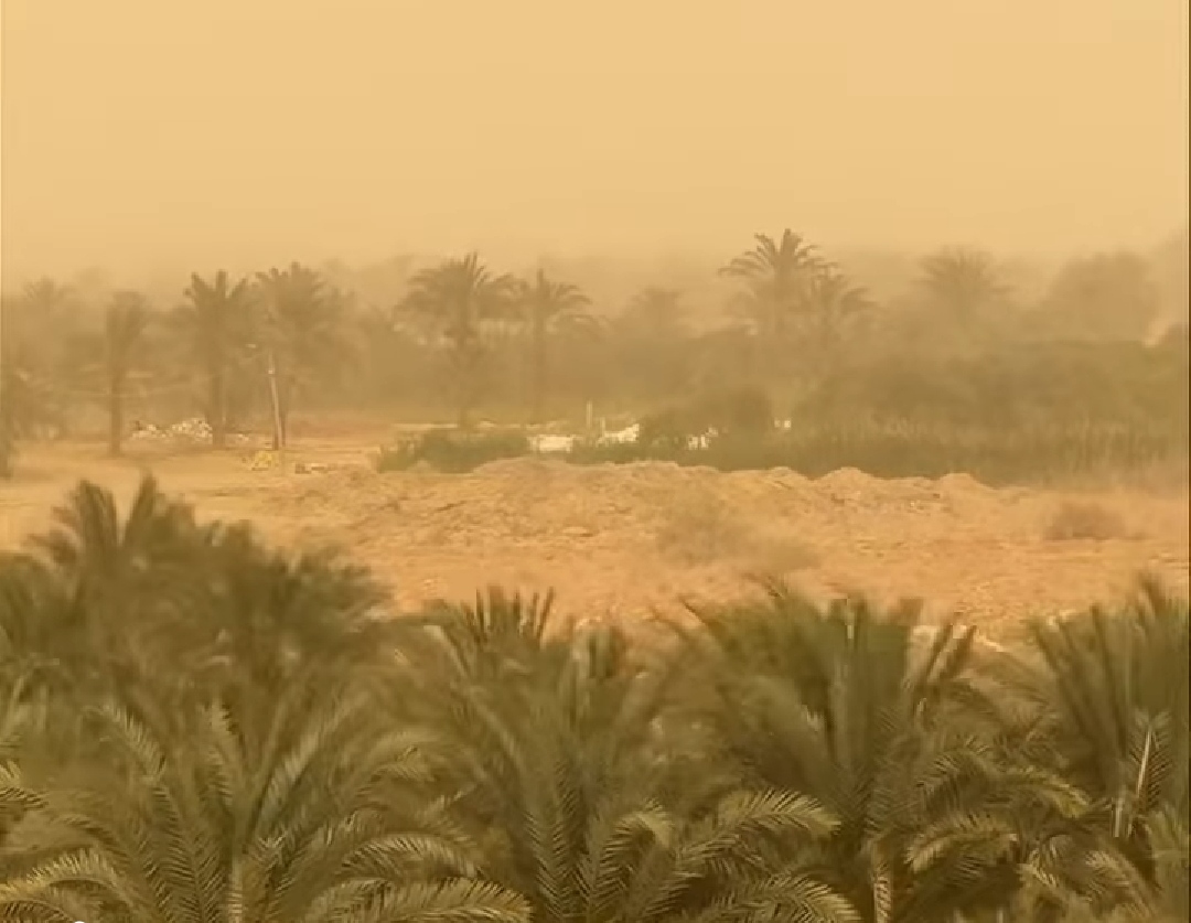 نشاط رياح