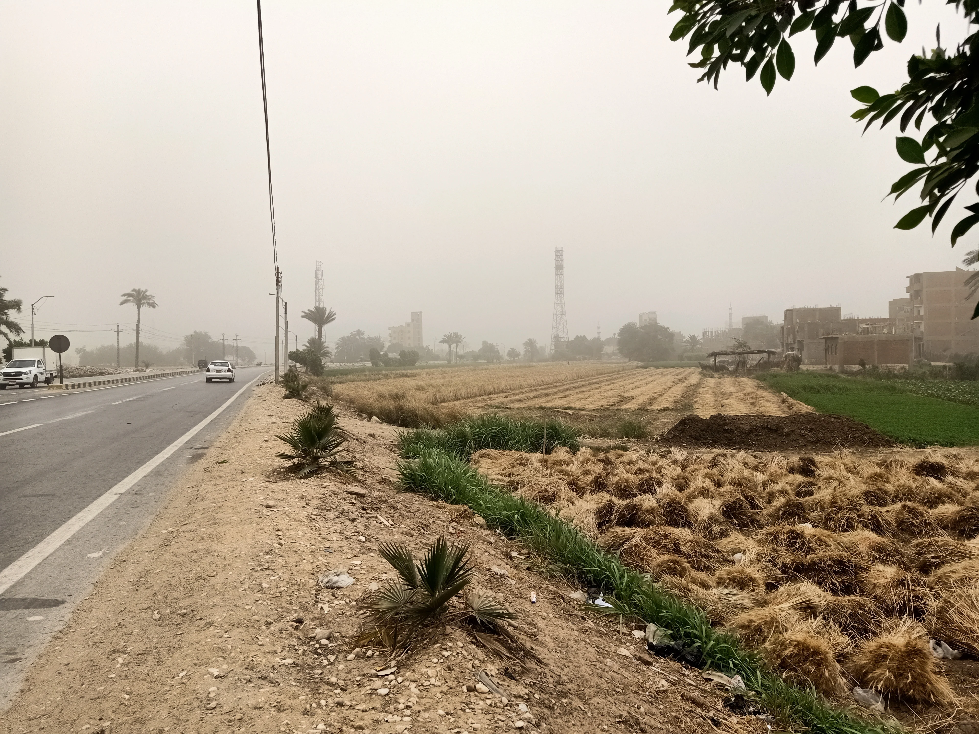 لحظات بدء العاصفة الترابية فى بنى سويف لحظات بدء العاصفة الترابية فى بنى سويف