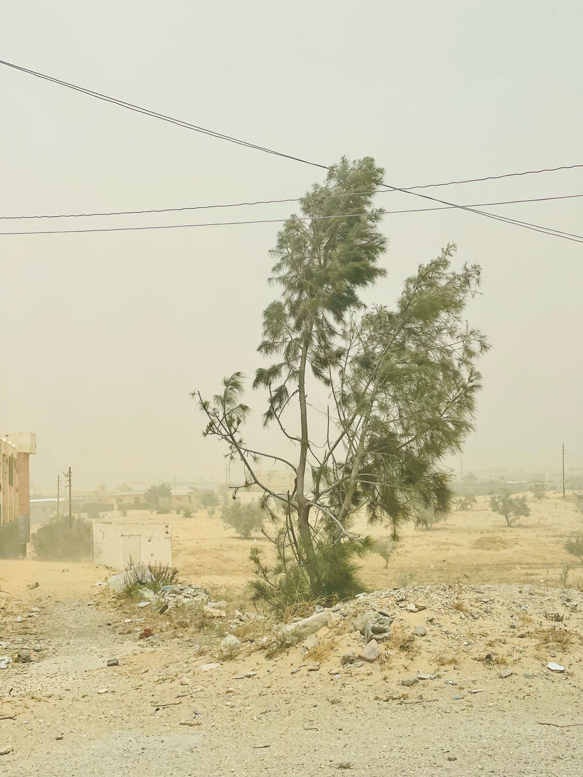 اجواء العاصفة الترابية فى شمال سيناء اجواء العاصفة الترابية فى شمال سيناء