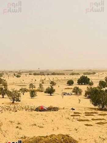 لحظات وصول العاصفة الترابية لشماء سيناء_2 لحظات وصول العاصفة الترابية لشماء سيناء_2