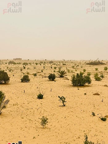 اجواء وصول العاصفة الترابية لشماء سيناء اجواء وصول العاصفة الترابية لشماء سيناء