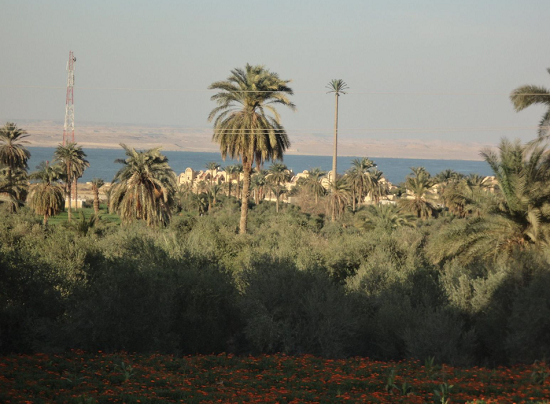 موقع قرية تونس