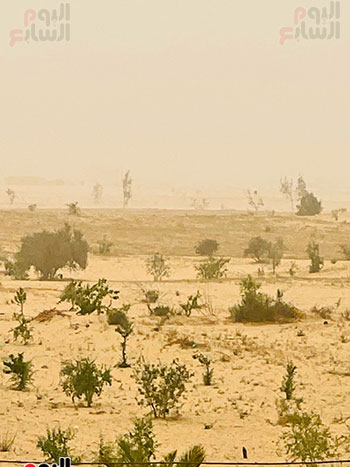 شمال-سيناء-الان شمال-سيناء-الان