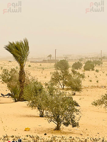 غبار-ورياح غبار-ورياح