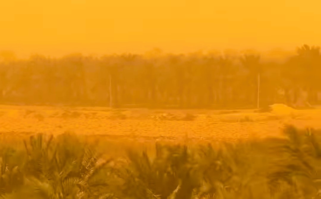 عاصفة ترابية تضرب سيوة مع دخول المنخفض الجوي عاصفة ترابية تضرب سيوة مع دخول المنخفض الجوي