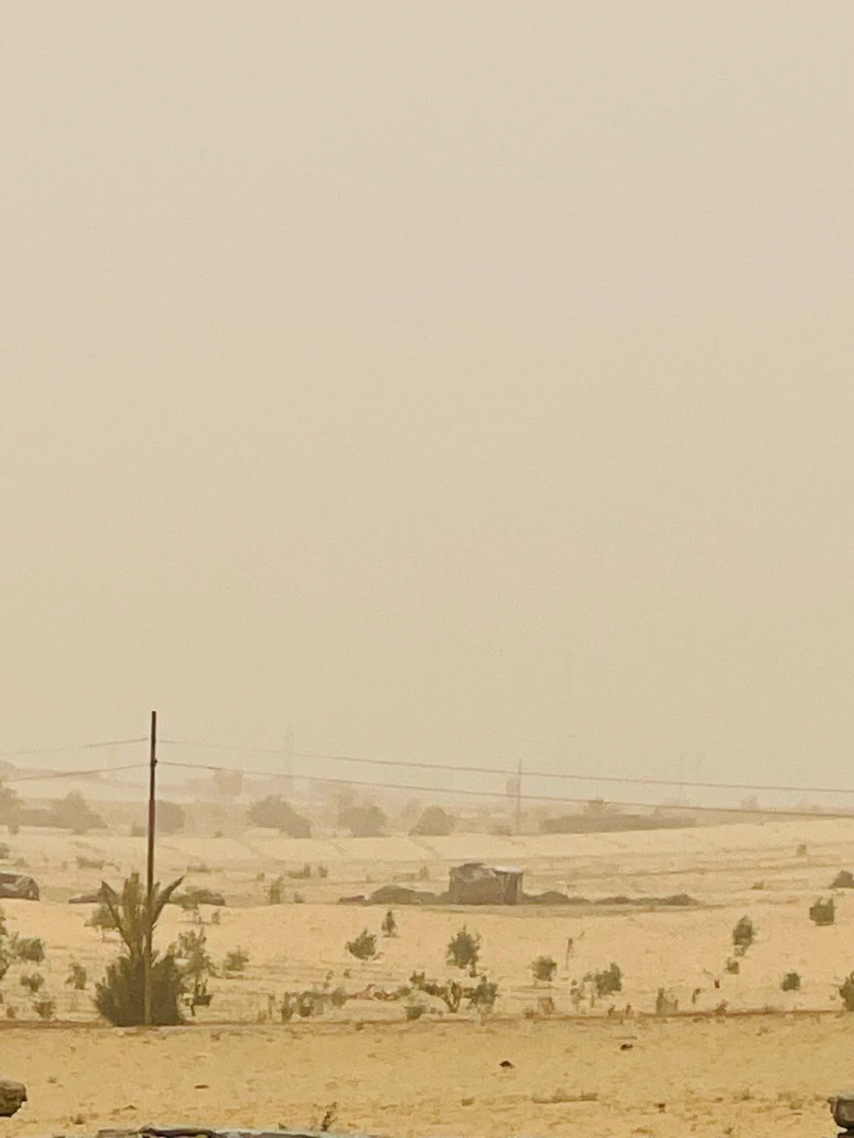 اجواء رياح مغبره فى شمال سيناء اجواء رياح مغبره فى شمال سيناء