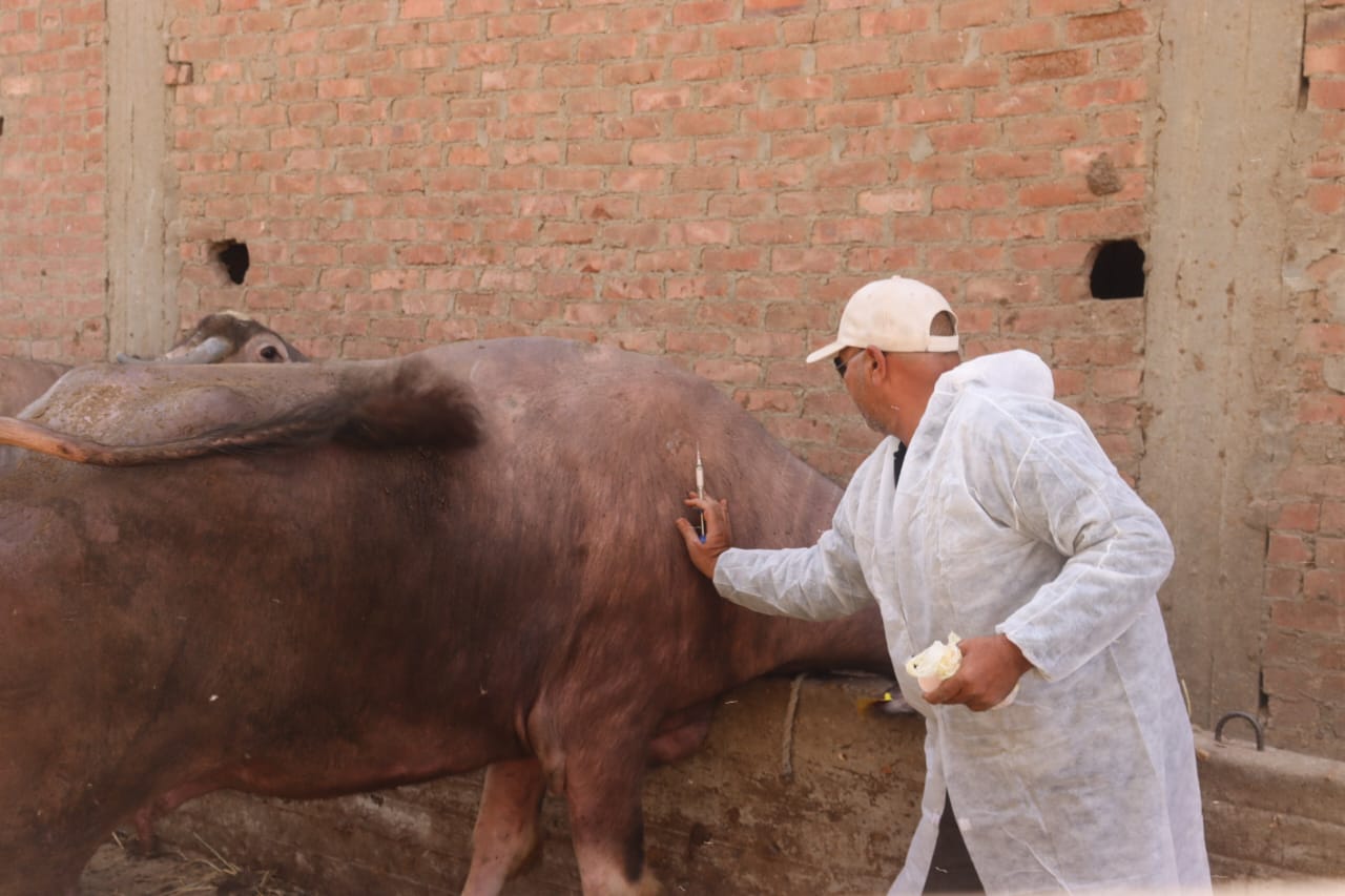 جانب من الحملة جانب من الحملة