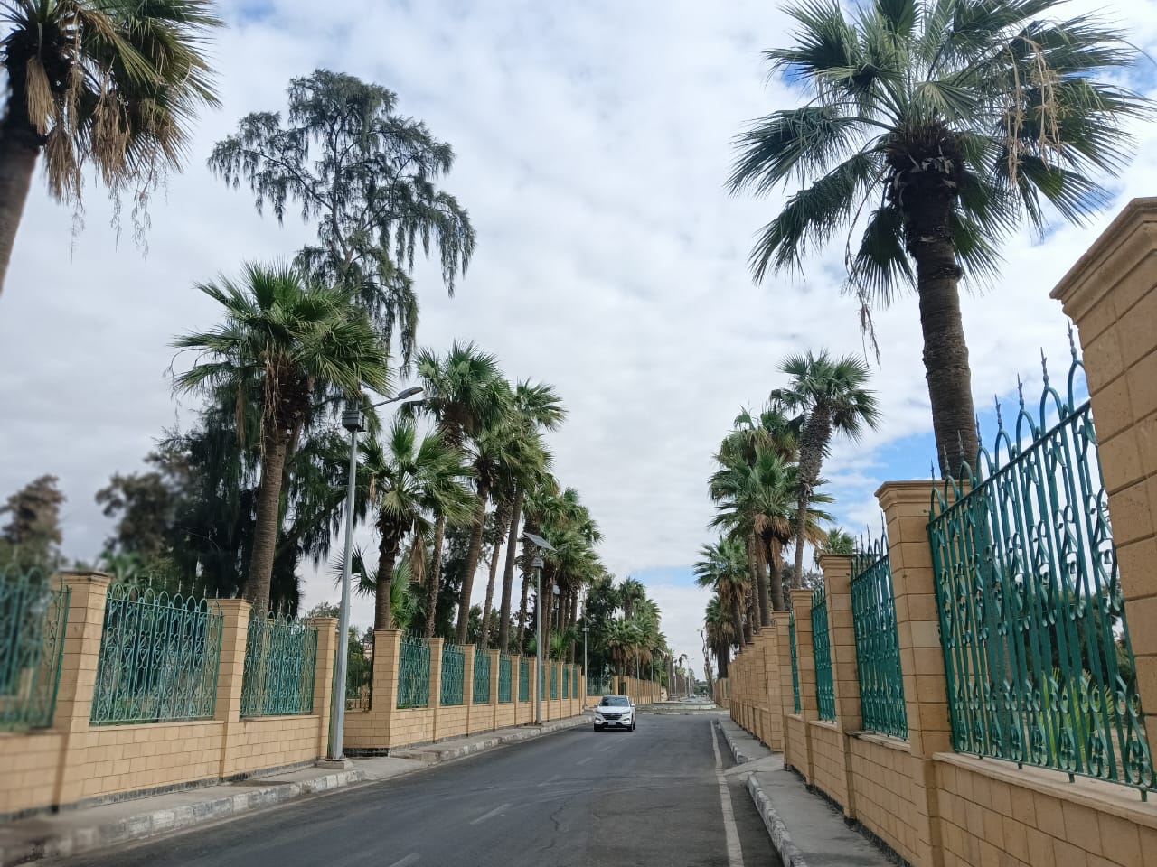 شارع يفصل بين حدائق حى الإفرنج بالإسماعيلية 