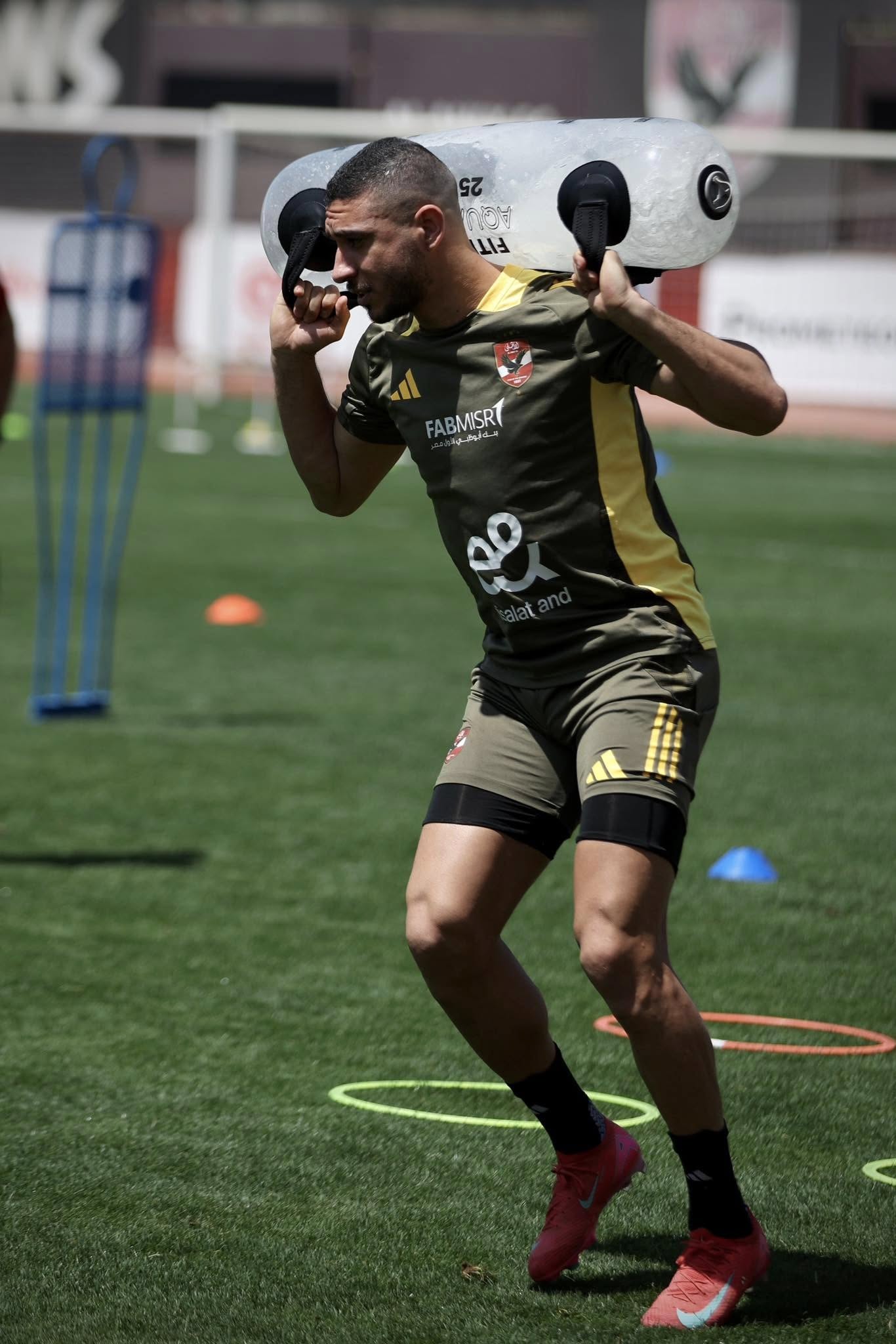 ربيعة ربيعة