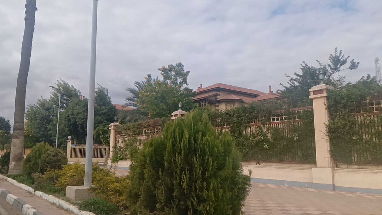 أشجار الزينة أمام الفيلات