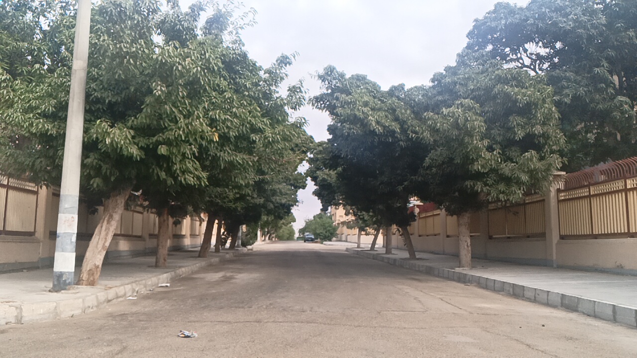 احد شوارع حى الإفرنج 