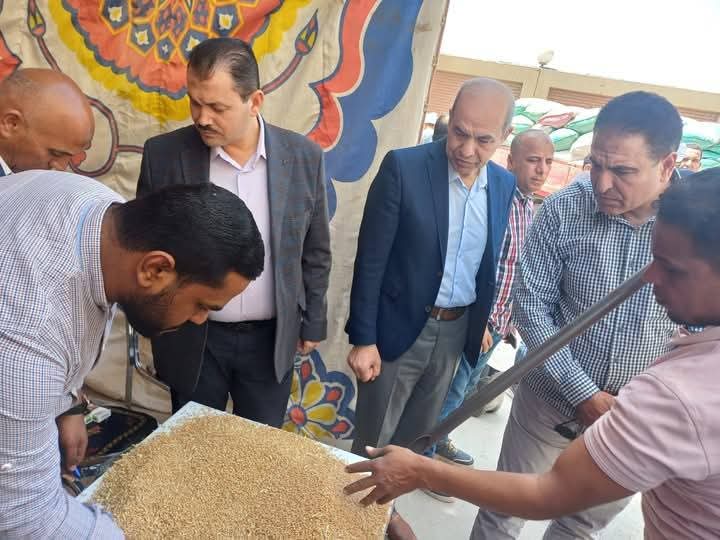 توريد القمح فى الفيوم