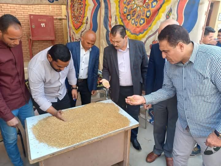 درجة نقاوة القمح