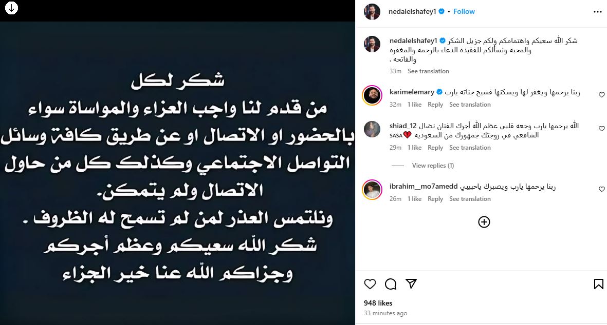 نضال الشافعى