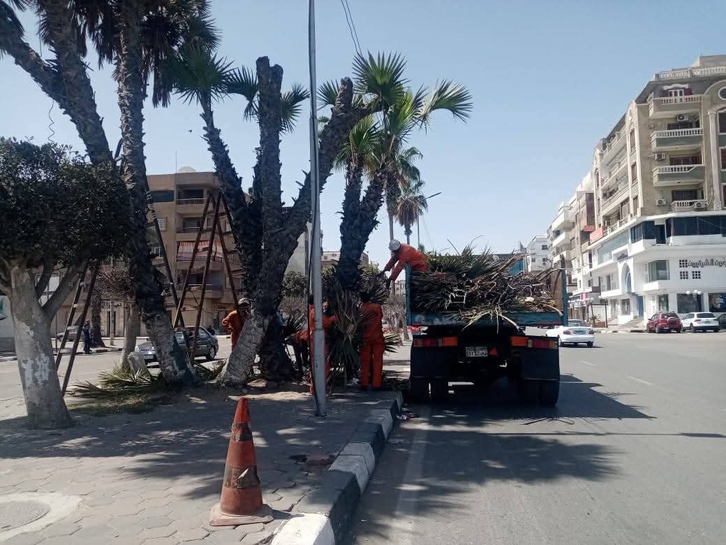 جانب من استعدادات الاسماعيلية لفصل الربيع