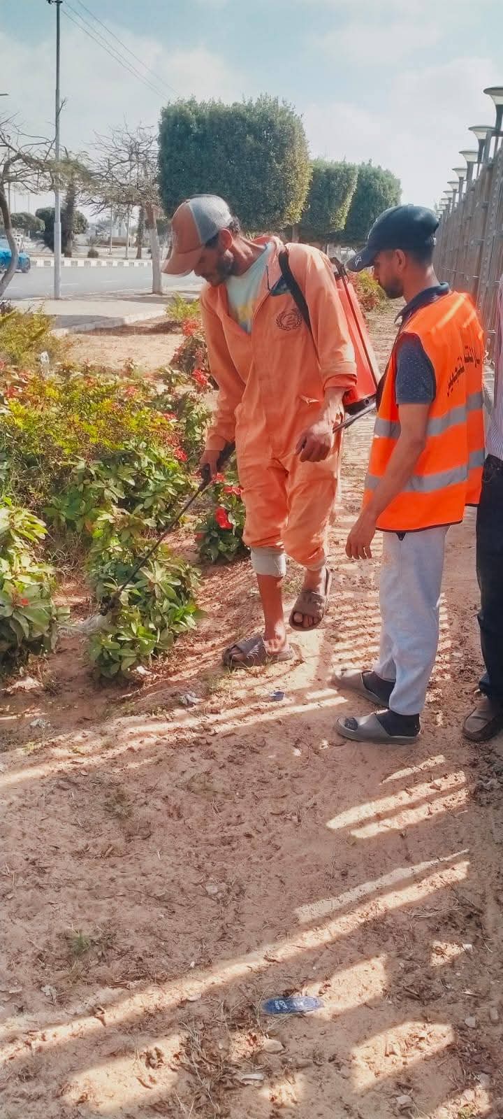 الإسماعيلية تستعد لفصل الربيع