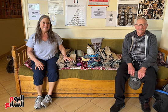 تبرعات-يومية-من-الأجانب-لرعاية-الحيوانات تبرعات-يومية-من-الأجانب-لرعاية-الحيوانات