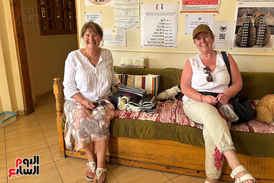 فرحة-الأجانب-خلال-التبرع-لدعم-الحيوانات-بالمجان-تماماً فرحة-الأجانب-خلال-التبرع-لدعم-الحيوانات-بالمجان-تماماً