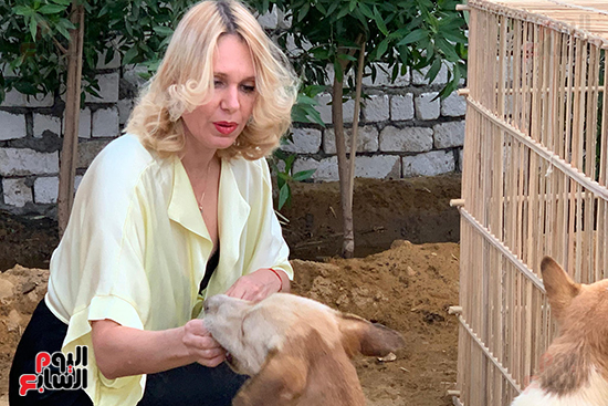 جانب-من-رعاية-الأجانب-للكلاب-الضالة-بالقرنة جانب-من-رعاية-الأجانب-للكلاب-الضالة-بالقرنة