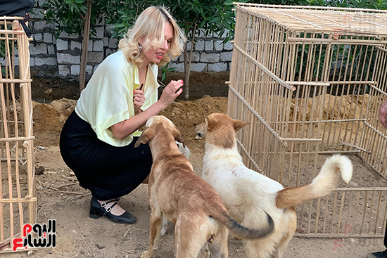 لهو-الكلاب-مع-الأجانب-داخل-الملجأ لهو-الكلاب-مع-الأجانب-داخل-الملجأ