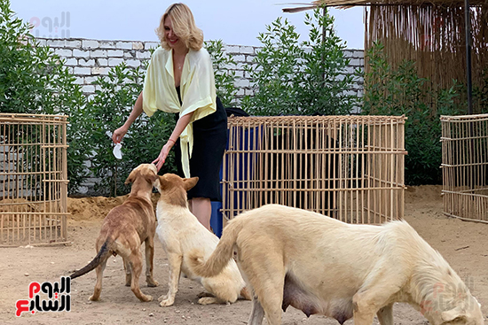فرحة-أجنبية-باللهو-مع-الكلاب-فى-الملجأ فرحة-أجنبية-باللهو-مع-الكلاب-فى-الملجأ