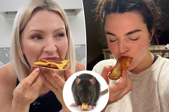 ترند سناك الفئران