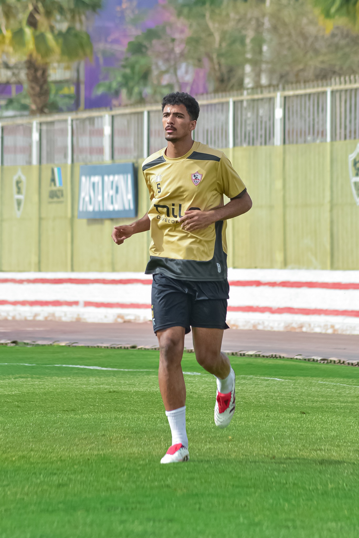 حسام عبد المجيد