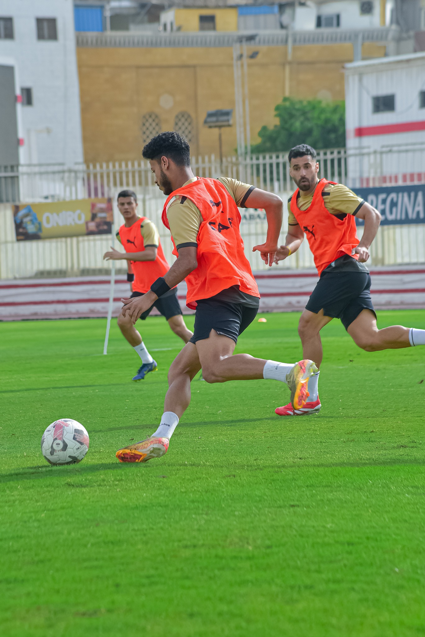 تدريب الزمالك