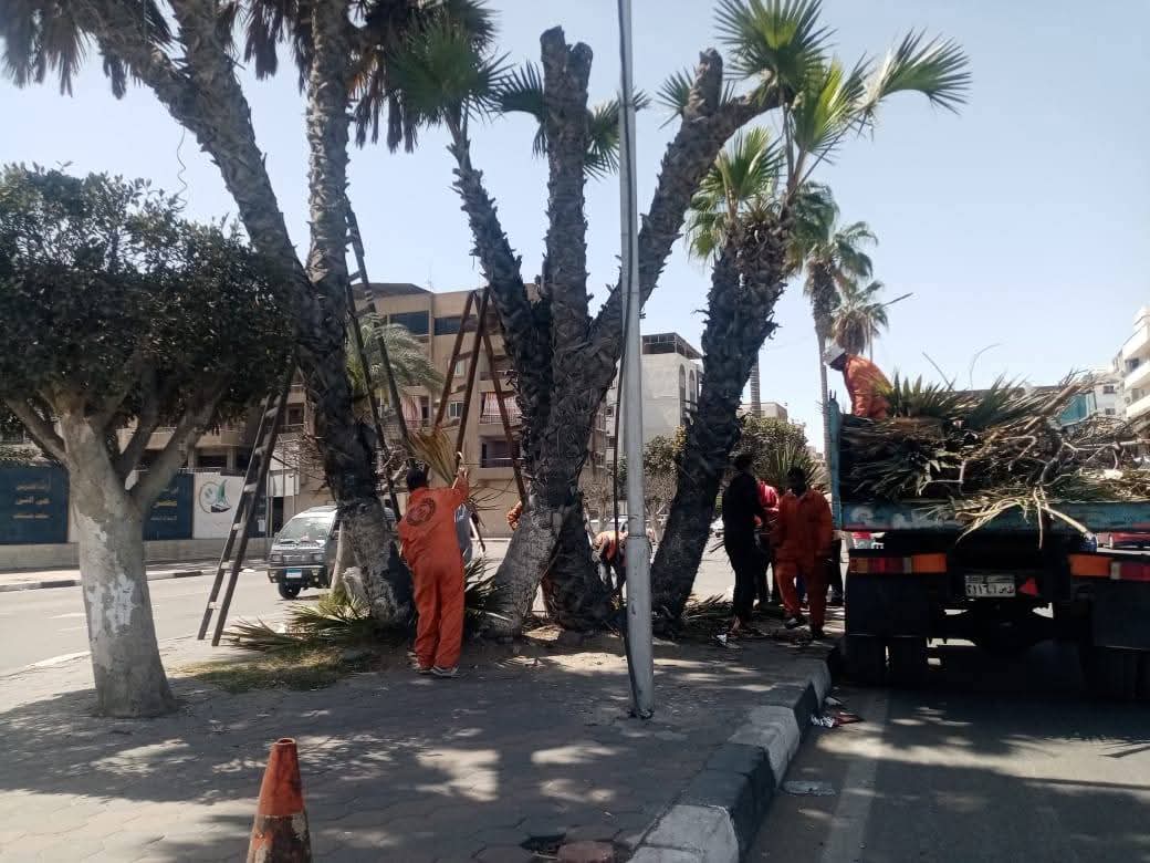 رفع كفاءة المسطحات الخضراء استعدادا للربيع