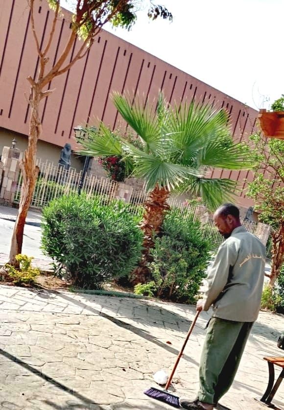 حملة نظافة بمنطقة الممشى السياحي وكورنيش النيل حملة نظافة بمنطقة الممشى السياحي وكورنيش النيل