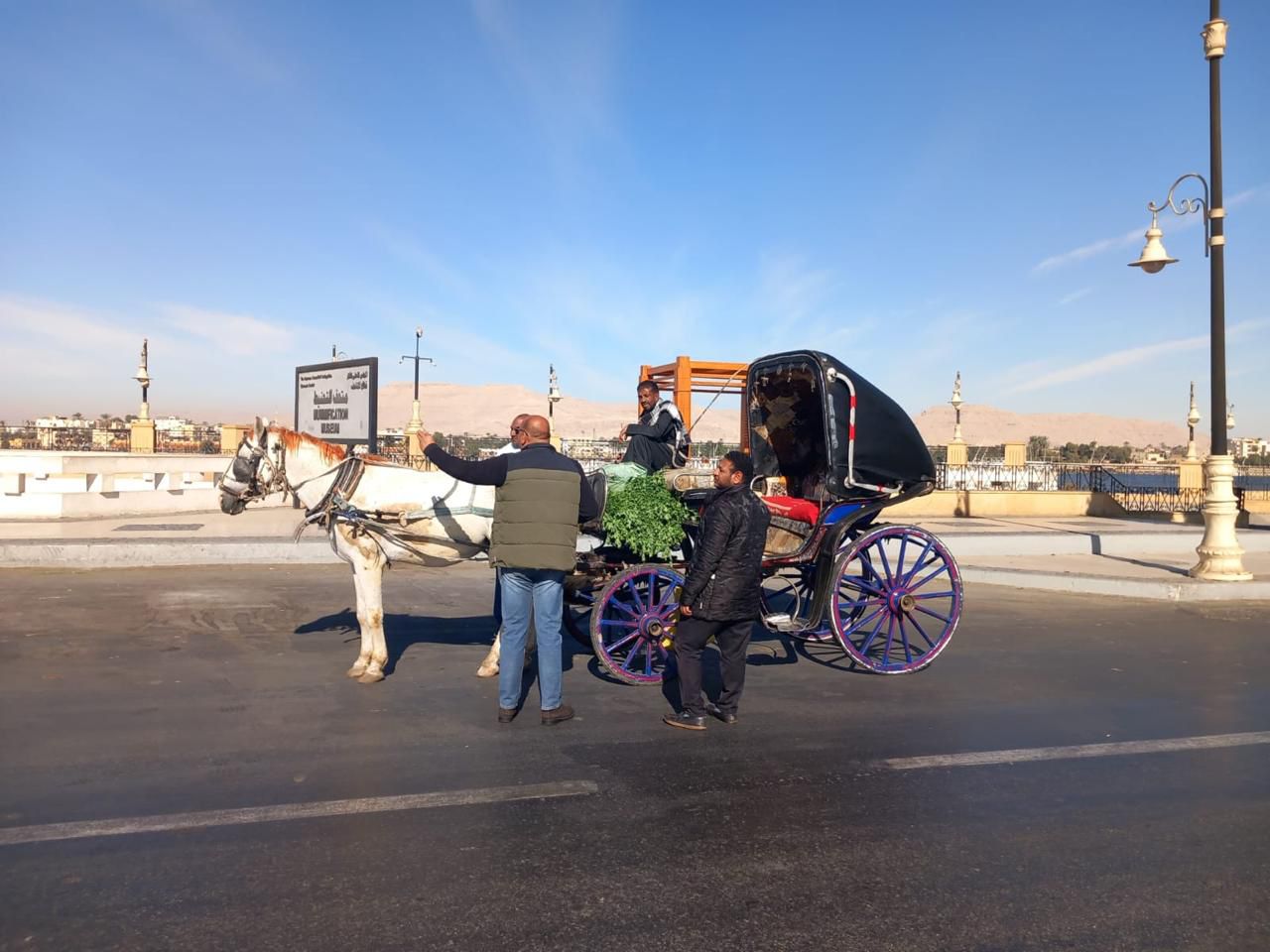 مدينة الأقصر تحرر 10 محاضر لعربات الحنطور المخالفة بالشوارع