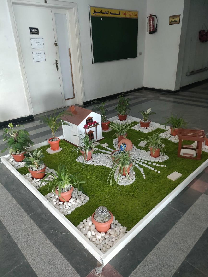 جامعة دمنهور تعلن تنفيذ مشروع الحديقة المصغرة (Mini Garden) (3)