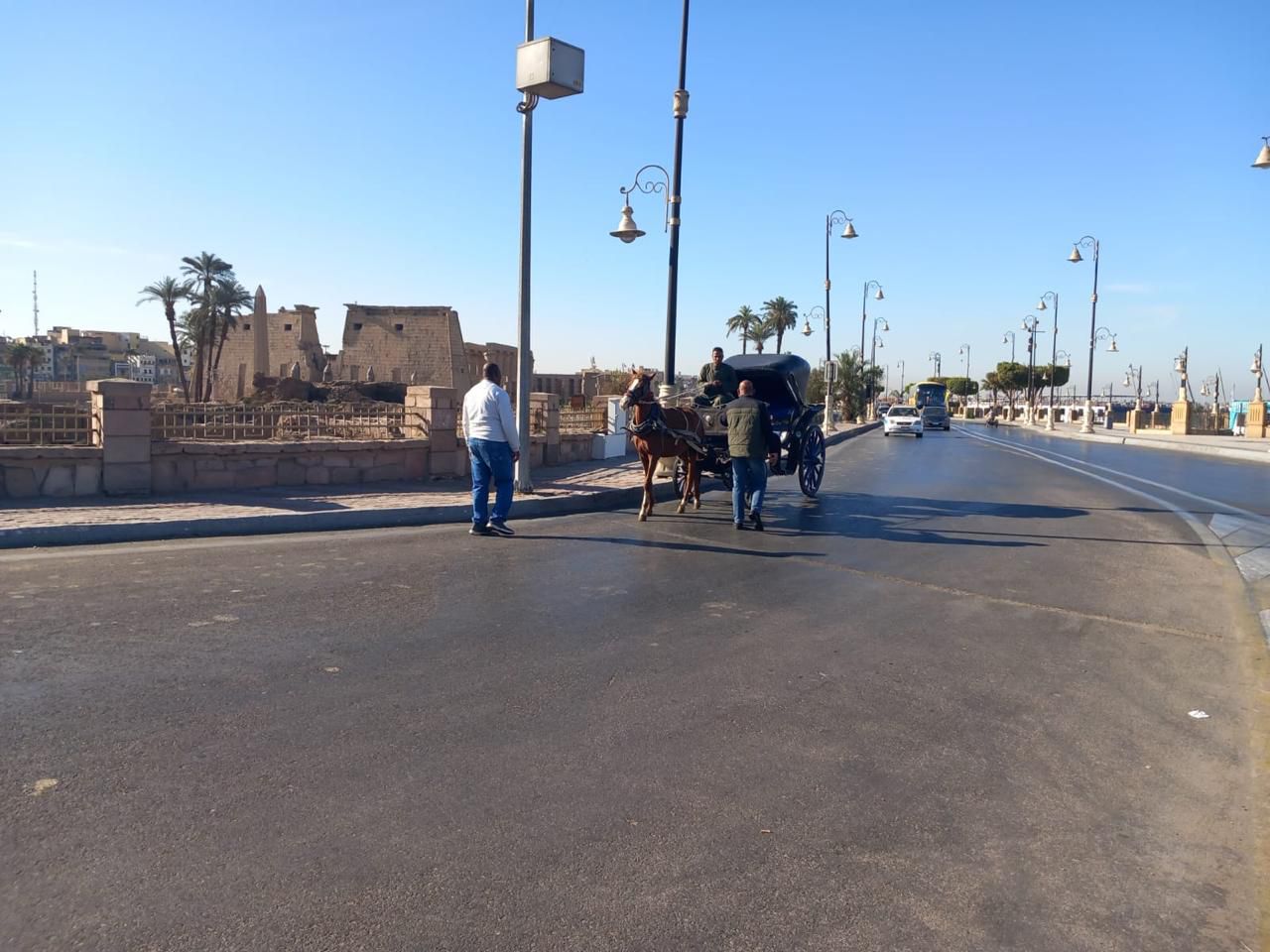 مجلس مدينة الأقصر يحرر 10 محاضر لعربات الحنطور المخالفة